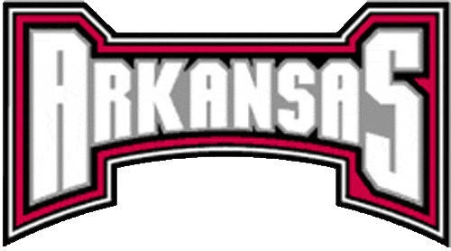 Arkansas Razorbacks 2001-2008 Wordmark Logo v6 DIY iron on transfer (heat transfer)